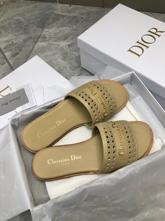 Dior Shoe 